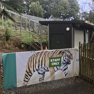 Siamang - Back of House (View from Path)