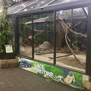 Lace Monitor Exhibit (New)