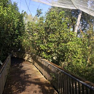 New Zealand Freeflight Aviary