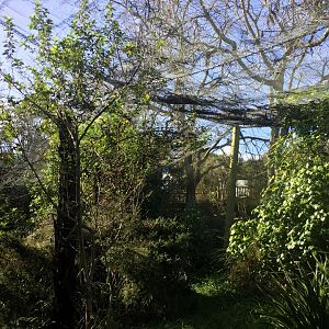 New Zealand Freeflight Aviary