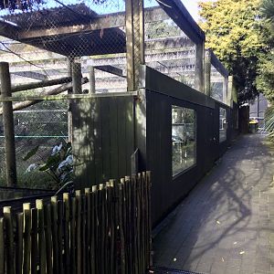 Fishing Cat Complex (Viewing Windows)