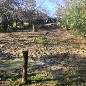 Lower Paddock - Southern White Rhinoceros Exhibit