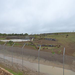 Sumatran tiger exhibit