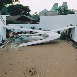 Chinese Alligator Enclosure (Lubetkin Penguin Pool)
