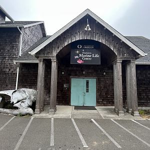Charleston Marine Life Center