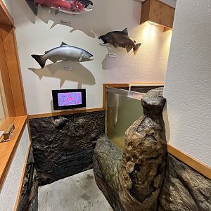 Charleston Marine Life Center