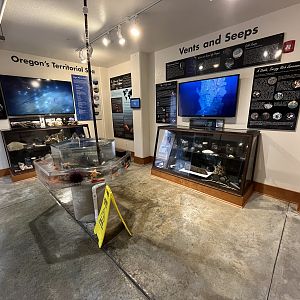 Charleston Marine Life Center