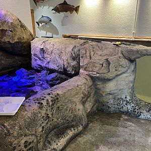 Charleston Marine Life Center