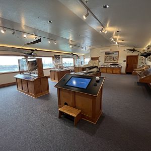 Charleston Marine Life Center