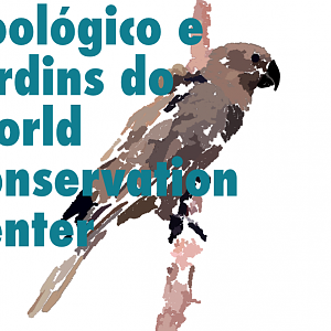 Masterplan of my Favorite Fantasy Zoo Logo