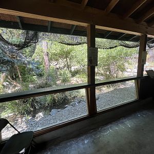 Sandhill Crane/Turkey Vulture Aviary