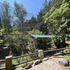 Sandhill Crane/Turkey Vulture Aviary