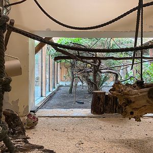 Tiergarten Nürnberg- squirrel monkey indoor enclosure- 2023