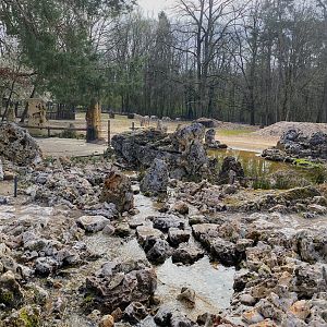 Tiergarten Nürnberg- hoofstock waterhole- 2023
