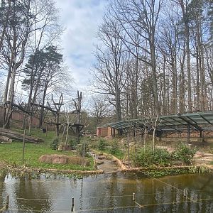Tiergarten Nürnberg- gorilla and magot enclosure- 2023