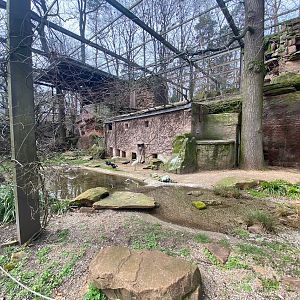 Tiergarten Nürnberg- aviary- 2023