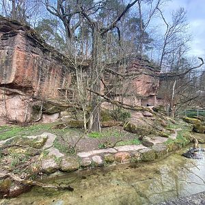 Tiergarten Nürnberg- fishing cat enclosure- 2023