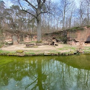 Tiergarten Nürnberg- lion enclosure- 2023