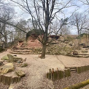 Tiergarten Nürnberg- ibex enclosure- 2023