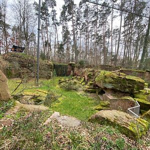 Tiergarten Nürnberg- bearded vulture aviary- 2023
