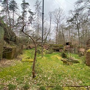 Tiergarten Nürnberg- bearded vulture aviary- 2023