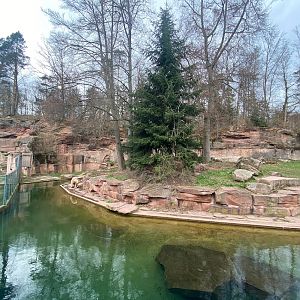 Tiergarten Nürnberg- polar bear enclosure- 2023