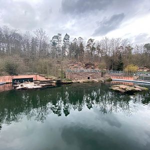 Tiergarten Nürnberg- pinniped enclosure- 2023