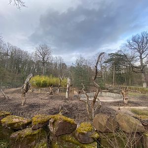 Tiergarten Nürnberg- Indian rhino enclosure- 2023