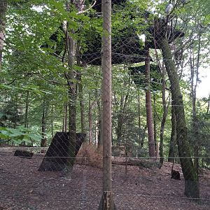 European waders' aviary