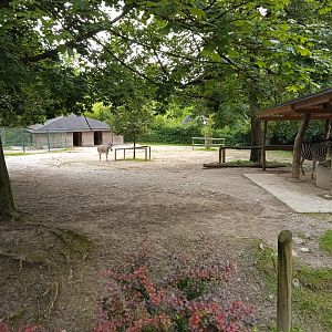 Chapman's Zebra exhibit