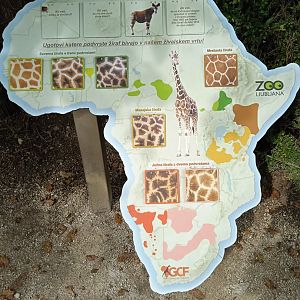 Educational signage about giraffe subspecies