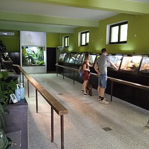 Terrarium, general view