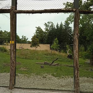 Lion enclosure