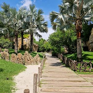 Lemur Walktrough exhibit