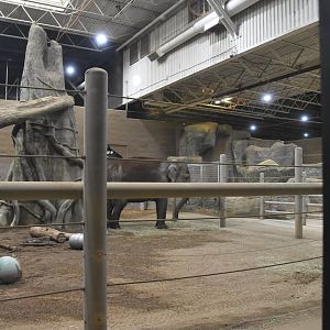 Asia Quest - Indoor Asian elephant building