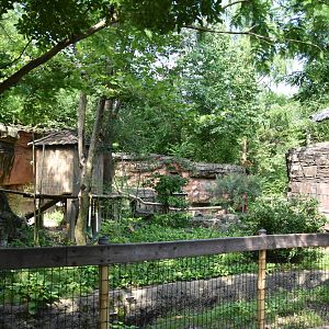 Asia Quest - Red panda exhibit