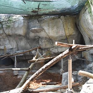 Asia Quest - Pallas cat exhibit