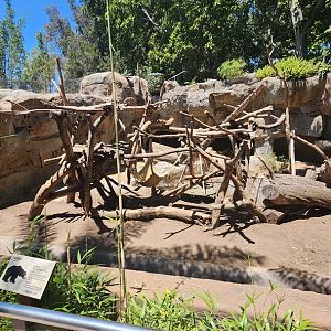 Sloth Bear Exhibit