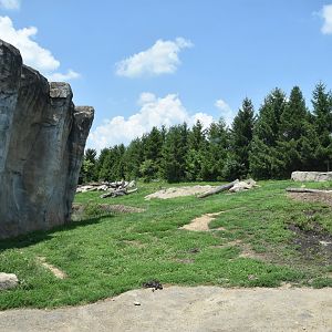 Polar Frontier - Brown Bear exhibit