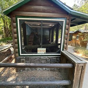 Virginia Opossum Exhibit