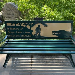 Steve Irwin Bench
