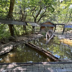 River Otter Exhibit