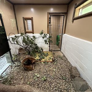 River Otter Indoor Exhibit