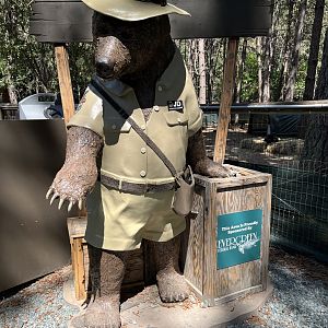 Bear Ranger Statue