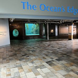The Ocean’s Edge - Entrance