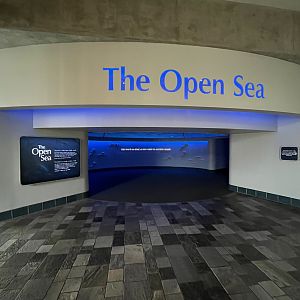 The Open Sea - Entrance