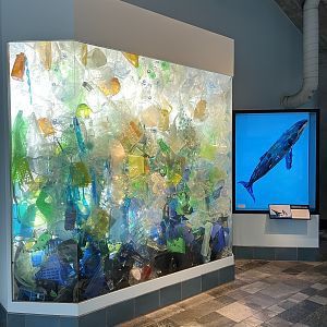 Plastic Exhibit