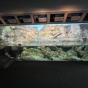 Seabird Exhibit