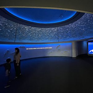 Pacific Sardine Exhibit