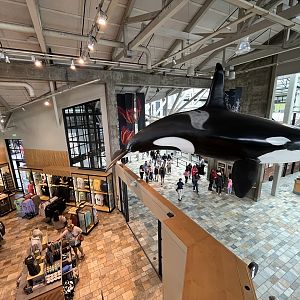 Gift Shop + Central Hallway